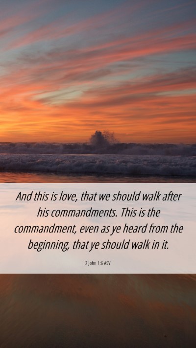 Picture 06 - 2 John 1:6 ASV Mobile Phone Wallpaper - And this is love, that we should walk after his - Mobile Bible Verse Wallpaper