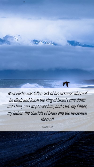 Picture 06 - 2 Kings 13:14 ASV Mobile Phone Wallpaper - Now Elisha was fallen sick of his sickness - Mobile Bible Verse Wallpaper