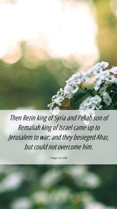 Picture 06 - 2 Kings 16:5 ASV Mobile Phone Wallpaper - Then Rezin king of Syria and Pekah son of - Mobile Bible Verse Wallpaper