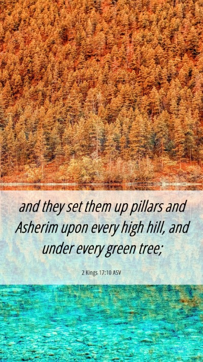 Picture 06 - 2 Kings 17:10 ASV Mobile Phone Wallpaper - and they set them up pillars and Asherim upon - Mobile Bible Verse Wallpaper