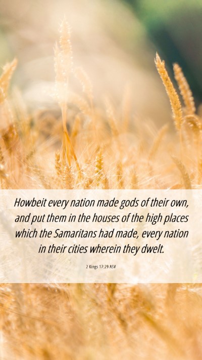 Picture 06 - 2 Kings 17:29 ASV Mobile Phone Wallpaper - Howbeit every nation made gods of their own, and - Mobile Bible Verse Wallpaper
