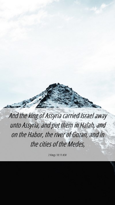 Picture 06 - 2 Kings 18:11 ASV Mobile Phone Wallpaper - And the king of Assyria carried Israel away unto - Mobile Bible Verse Wallpaper