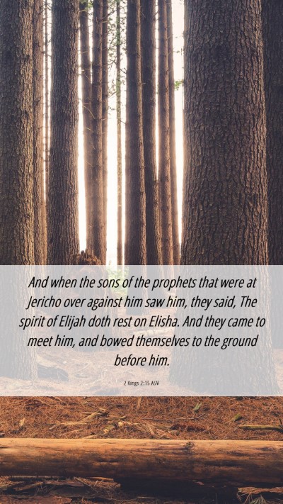 Picture 06 - 2 Kings 2:15 ASV Mobile Phone Wallpaper - And when the sons of the prophets that were at - Mobile Bible Verse Wallpaper