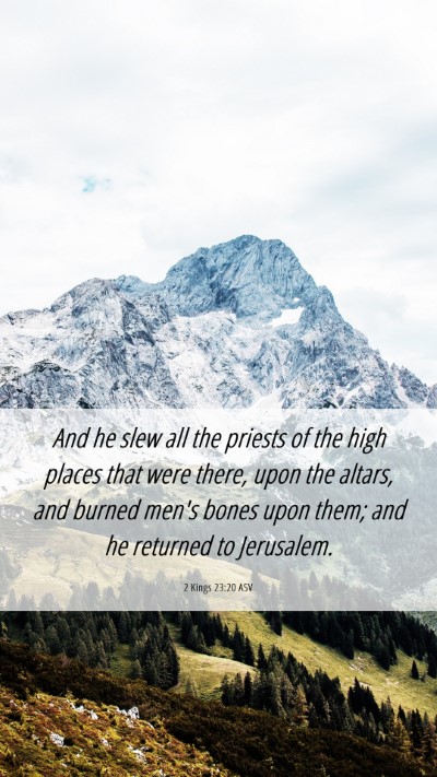 Picture 06 - 2 Kings 23:20 ASV Mobile Phone Wallpaper - And he slew all the priests of the high places - Mobile Bible Verse Wallpaper