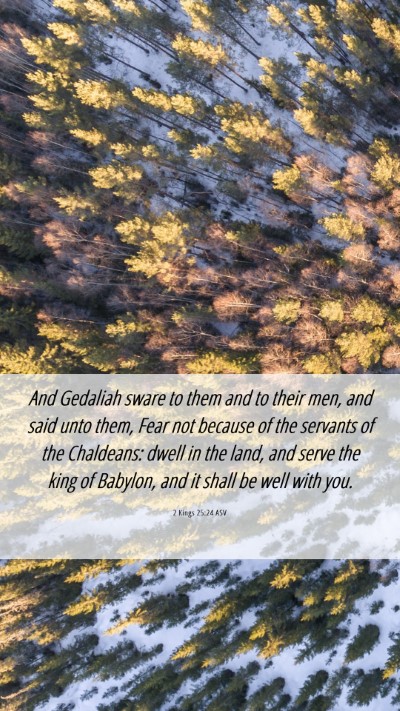 Picture 06 - 2 Kings 25:24 ASV Mobile Phone Wallpaper - And Gedaliah sware to them and to their men, and - Mobile Bible Verse Wallpaper