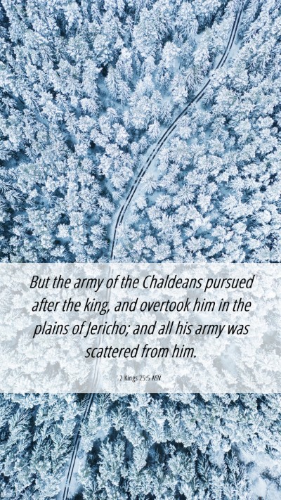 Picture 06 - 2 Kings 25:5 ASV Mobile Phone Wallpaper - But the army of the Chaldeans pursued after the - Mobile Bible Verse Wallpaper