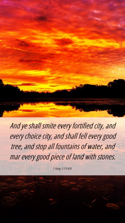 Picture 06 - 2 Kings 3:19 ASV Mobile Phone Wallpaper - And ye shall smite every fortified city, and - Mobile Bible Verse Wallpaper