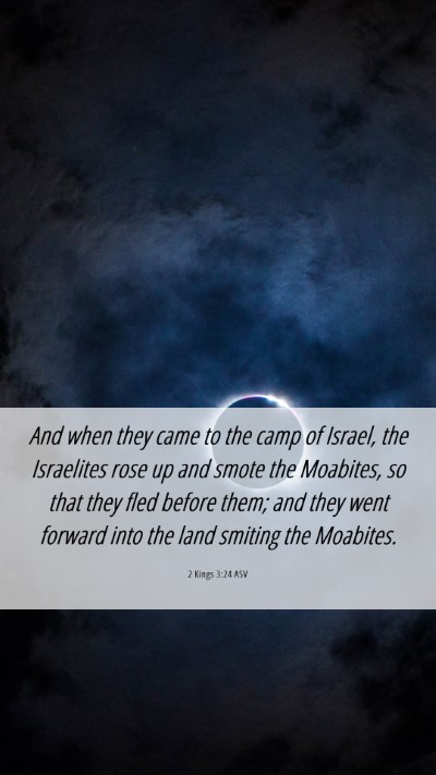 Picture 06 - 2 Kings 3:24 ASV Mobile Phone Wallpaper - And when they came to the camp of Israel, the - Mobile Bible Verse Wallpaper