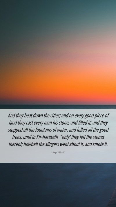 Picture 06 - 2 Kings 3:25 ASV Mobile Phone Wallpaper - And they beat down the cities; and on every good - Mobile Bible Verse Wallpaper