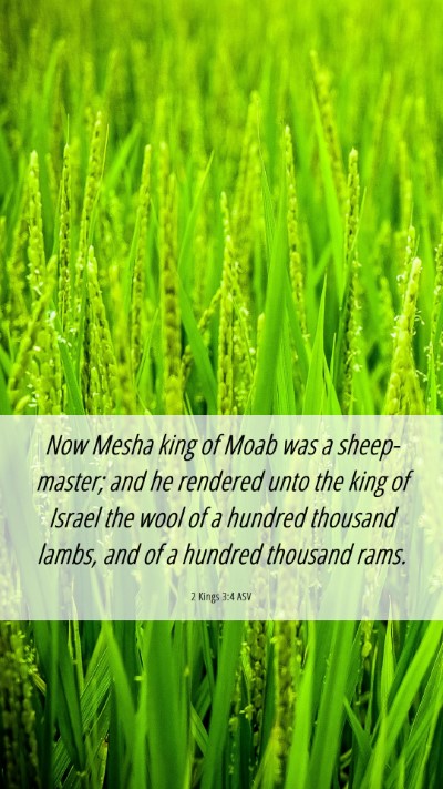 Picture 06 - 2 Kings 3:4 ASV Mobile Phone Wallpaper - Now Mesha king of Moab was a sheep-master; and he - Mobile Bible Verse Wallpaper