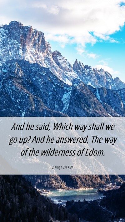 Picture 06 - 2 Kings 3:8 ASV Mobile Phone Wallpaper - And he said, Which way shall we go up? And he - Mobile Bible Verse Wallpaper