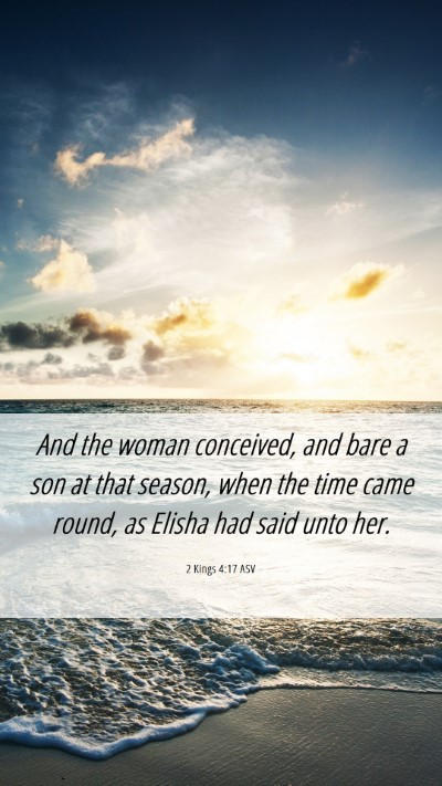 Picture 06 - 2 Kings 4:17 ASV Mobile Phone Wallpaper - And the woman conceived, and bare a son at that - Mobile Bible Verse Wallpaper