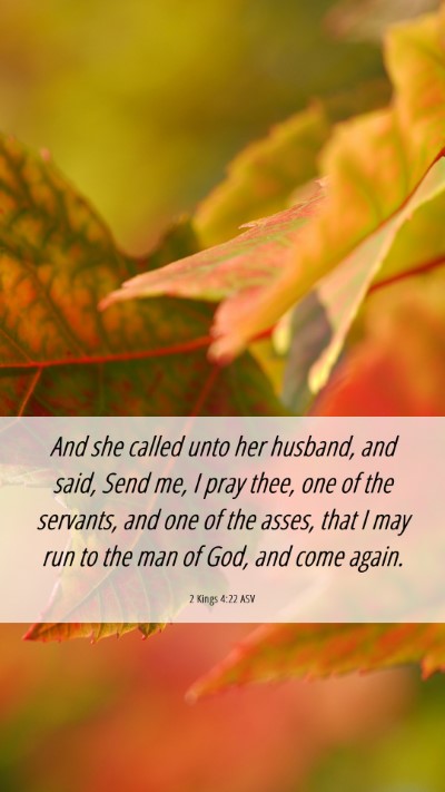 Picture 06 - 2 Kings 4:22 ASV Mobile Phone Wallpaper - And she called unto her husband, and said, Send - Mobile Bible Verse Wallpaper