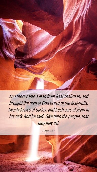Picture 06 - 2 Kings 4:42 ASV Mobile Phone Wallpaper - And there came a man from Baal-shalishah, and - Mobile Bible Verse Wallpaper