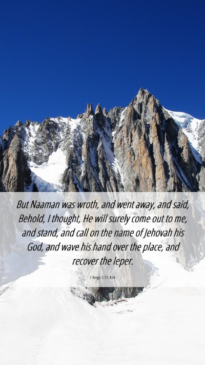 Picture 06 - 2 Kings 5:11 ASV Mobile Phone Wallpaper - But Naaman was wroth, and went away, and said, - Mobile Bible Verse Wallpaper