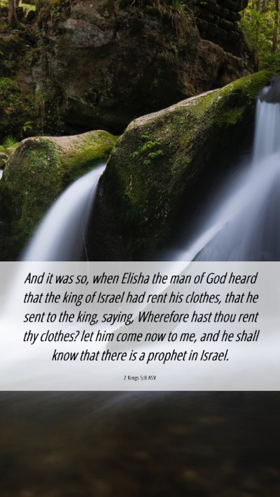Picture 06 - 2 Kings 5:8 ASV Mobile Phone Wallpaper - And it was so, when Elisha the man of God heard - Mobile Bible Verse Wallpaper