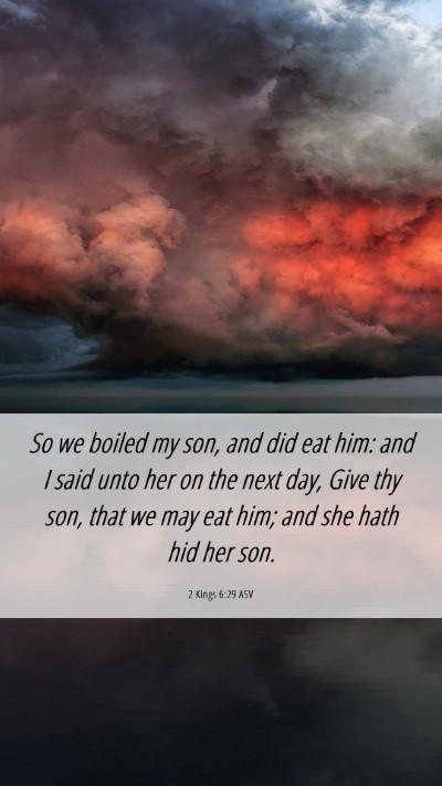 Picture 06 - 2 Kings 6:29 ASV Mobile Phone Wallpaper - So we boiled my son, and did eat him: and I said - Mobile Bible Verse Wallpaper