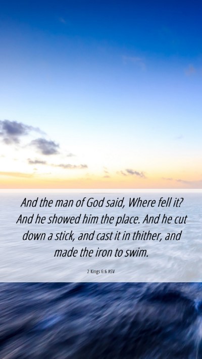 Picture 06 - 2 Kings 6:6 ASV Mobile Phone Wallpaper - And the man of God said, Where fell it? And he - Mobile Bible Verse Wallpaper