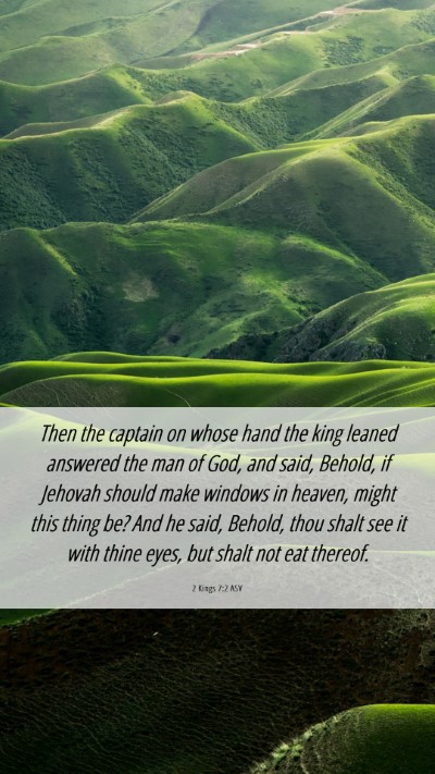 Picture 06 - 2 Kings 7:2 ASV Mobile Phone Wallpaper - Then the captain on whose hand the king leaned - Mobile Bible Verse Wallpaper