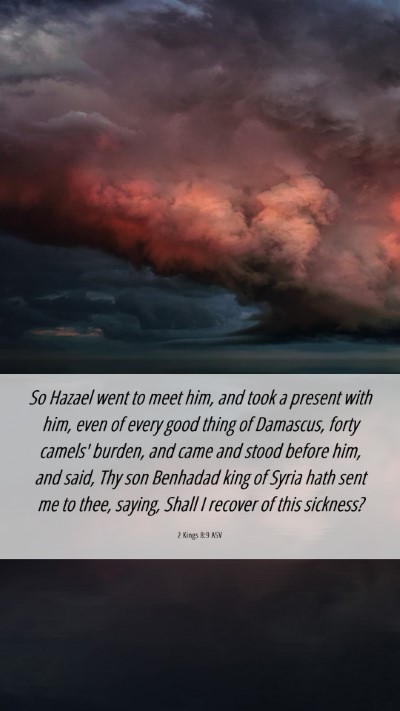 Picture 06 - 2 Kings 8:9 ASV Mobile Phone Wallpaper - So Hazael went to meet him, and took a present - Mobile Bible Verse Wallpaper