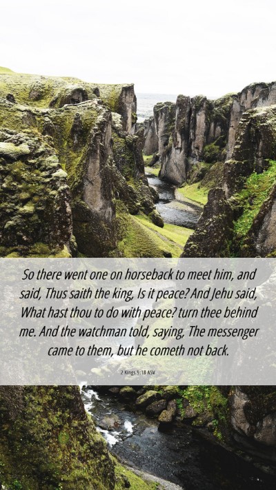 Picture 06 - 2 Kings 9:18 ASV Mobile Phone Wallpaper - So there went one on horseback to meet him, and - Mobile Bible Verse Wallpaper