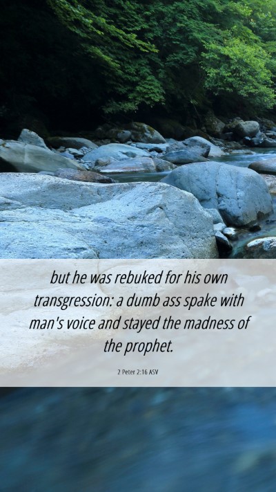 Picture 06 - 2 Peter 2:16 ASV Mobile Phone Wallpaper - but he was rebuked for his own transgression: a - Mobile Bible Verse Wallpaper
