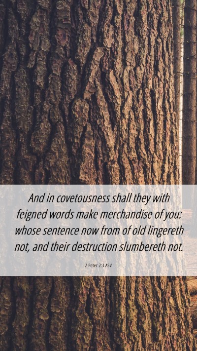 Picture 06 - 2 Peter 2:3 ASV Mobile Phone Wallpaper - And in covetousness shall they with feigned words - Mobile Bible Verse Wallpaper