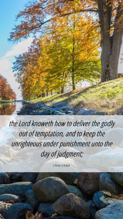 Picture 06 - 2 Peter 2:9 ASV Mobile Phone Wallpaper - the Lord knoweth how to deliver the godly out of - Mobile Bible Verse Wallpaper