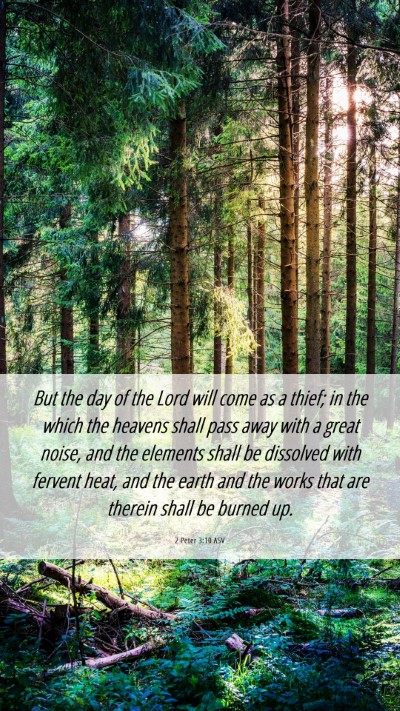 Picture 06 - 2 Peter 3:10 ASV Mobile Phone Wallpaper - But the day of the Lord will come as a thief; in - Mobile Bible Verse Wallpaper