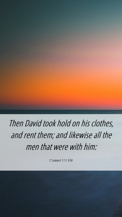 Picture 06 - 2 Samuel 1:11 ASV Mobile Phone Wallpaper - Then David took hold on his clothes, and rent - Mobile Bible Verse Wallpaper