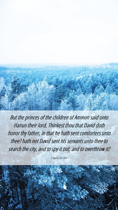 Picture 06 - 2 Samuel 10:3 ASV Mobile Phone Wallpaper - But the princes of the children of Ammon said - Mobile Bible Verse Wallpaper