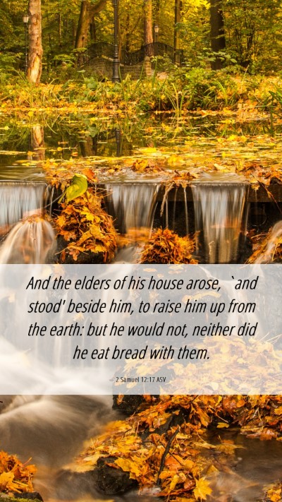 Picture 06 - 2 Samuel 12:17 ASV Mobile Phone Wallpaper - And the elders of his house arose, `and stood' - Mobile Bible Verse Wallpaper