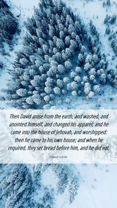 Picture 06 - 2 Samuel 12:20 ASV Mobile Phone Wallpaper - Then David arose from the earth, and washed, and - Mobile Bible Verse Wallpaper