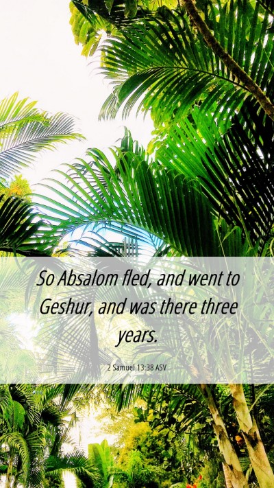 Picture 06 - 2 Samuel 13:38 ASV Mobile Phone Wallpaper - So Absalom fled, and went to Geshur, and was - Mobile Bible Verse Wallpaper
