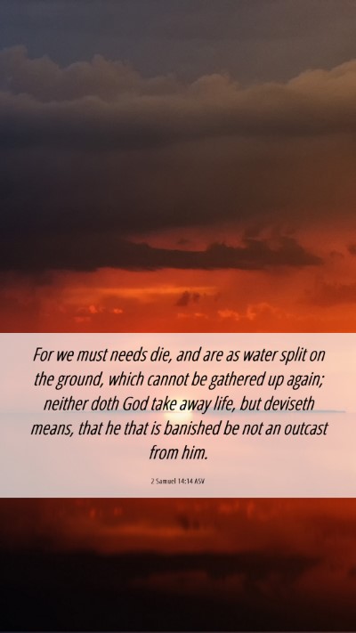 Picture 06 - 2 Samuel 14:14 ASV Mobile Phone Wallpaper - For we must needs die, and are as water split on - Mobile Bible Verse Wallpaper