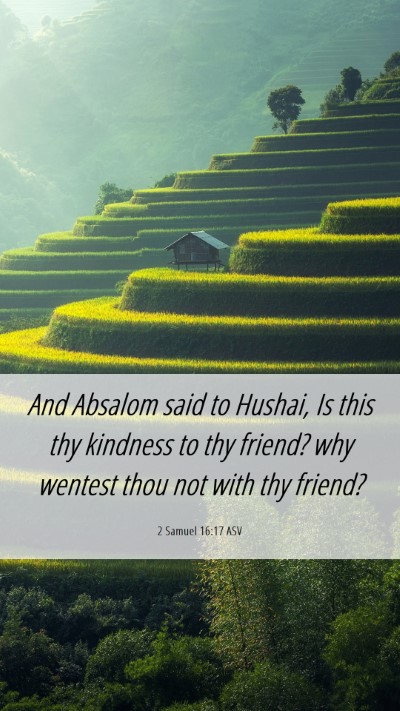 Picture 06 - 2 Samuel 16:17 ASV Mobile Phone Wallpaper - And Absalom said to Hushai, Is this thy kindness - Mobile Bible Verse Wallpaper