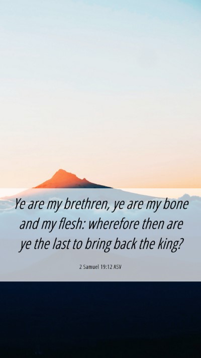 Picture 06 - 2 Samuel 19:12 ASV Mobile Phone Wallpaper - Ye are my brethren, ye are my bone and my flesh: - Mobile Bible Verse Wallpaper