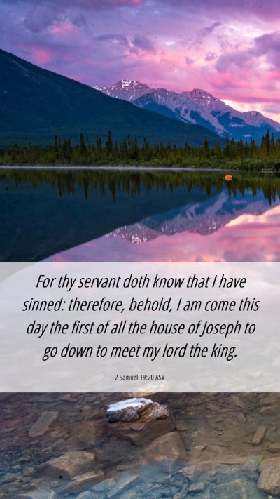 Picture 06 - 2 Samuel 19:20 ASV Mobile Phone Wallpaper - For thy servant doth know that I have sinned: - Mobile Bible Verse Wallpaper