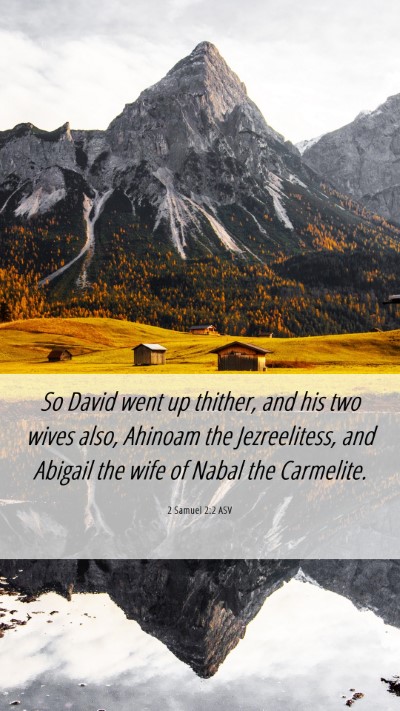 Picture 06 - 2 Samuel 2:2 ASV Mobile Phone Wallpaper - So David went up thither, and his two wives also, - Mobile Bible Verse Wallpaper