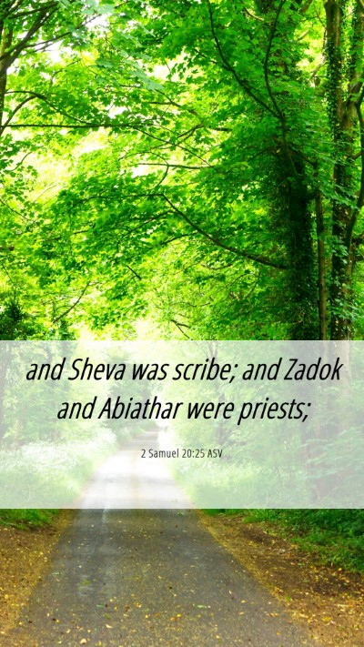 Picture 06 - 2 Samuel 20:25 ASV Mobile Phone Wallpaper - and Sheva was scribe; and Zadok and Abiathar were - Mobile Bible Verse Wallpaper