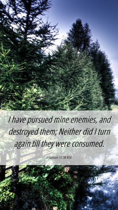 Picture 06 - 2 Samuel 22:38 ASV Mobile Phone Wallpaper - I have pursued mine enemies, and destroyed them; - Mobile Bible Verse Wallpaper