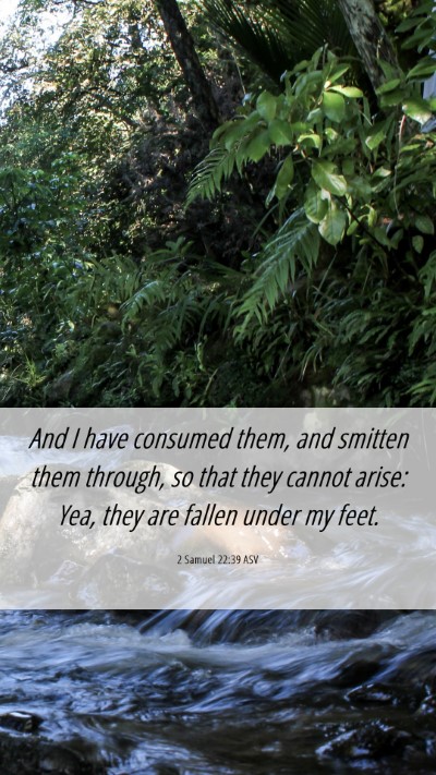 Picture 06 - 2 Samuel 22:39 ASV Mobile Phone Wallpaper - And I have consumed them, and smitten them - Mobile Bible Verse Wallpaper