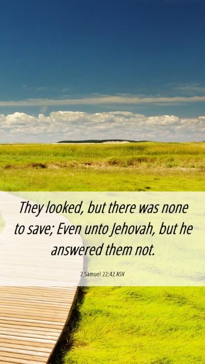 Picture 06 - 2 Samuel 22:42 ASV Mobile Phone Wallpaper - They looked, but there was none to save; Even - Mobile Bible Verse Wallpaper