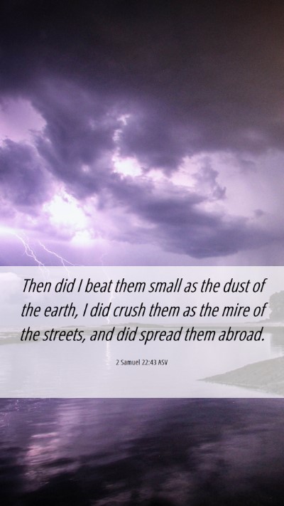 Picture 06 - 2 Samuel 22:43 ASV Mobile Phone Wallpaper - Then did I beat them small as the dust of the - Mobile Bible Verse Wallpaper