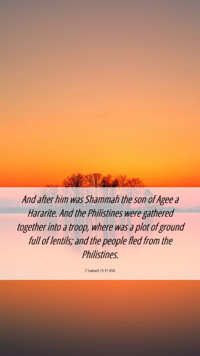 Picture 06 - 2 Samuel 23:11 ASV Mobile Phone Wallpaper - And after him was Shammah the son of Agee a - Mobile Bible Verse Wallpaper