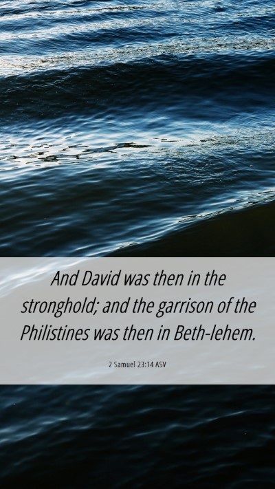 Picture 06 - 2 Samuel 23:14 ASV Mobile Phone Wallpaper - And David was then in the stronghold; and the - Mobile Bible Verse Wallpaper