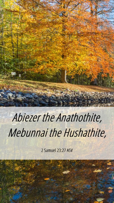 Picture 06 - 2 Samuel 23:27 ASV Mobile Phone Wallpaper - Abiezer the Anathothite, Mebunnai the - Mobile Bible Verse Wallpaper