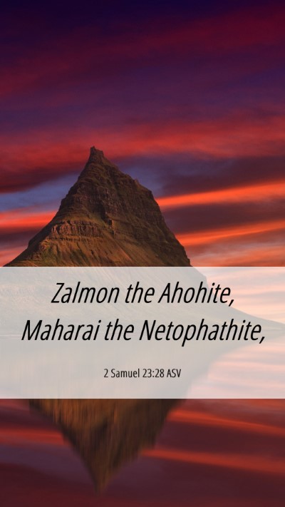 Picture 06 - 2 Samuel 23:28 ASV Mobile Phone Wallpaper - Zalmon the Ahohite, Maharai the - Mobile Bible Verse Wallpaper