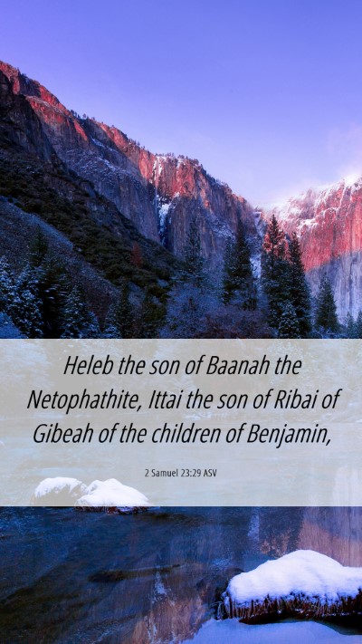 Picture 06 - 2 Samuel 23:29 ASV Mobile Phone Wallpaper - Heleb the son of Baanah the Netophathite, Ittai - Mobile Bible Verse Wallpaper