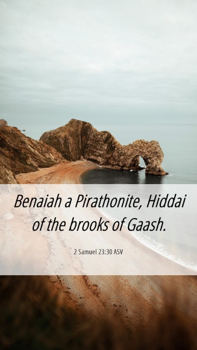 Picture 06 - 2 Samuel 23:30 ASV Mobile Phone Wallpaper - Benaiah a Pirathonite, Hiddai of the brooks of - Mobile Bible Verse Wallpaper